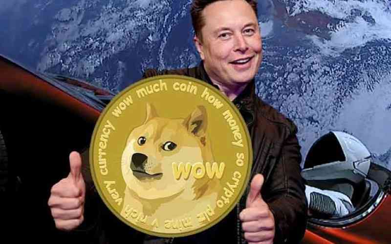 Dogecoin's Serious Side: Betting Potential