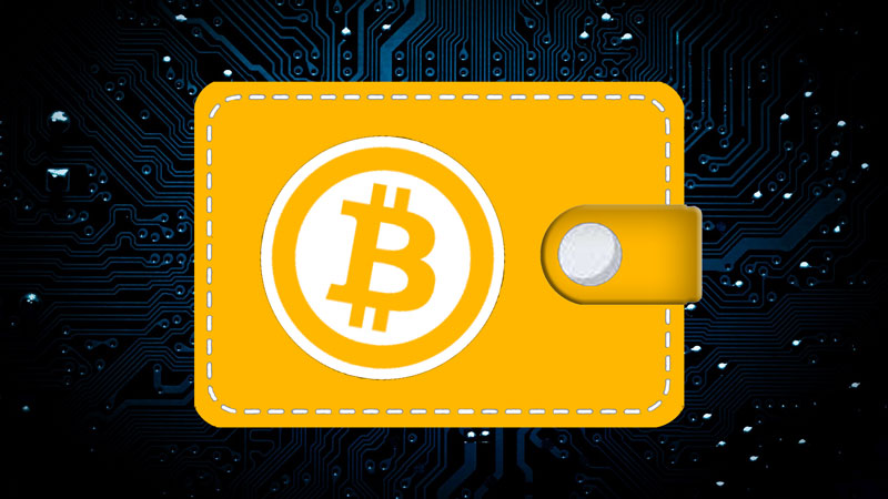 The Expert’s Choice: Top Cryptocurrency Wallets for Africans